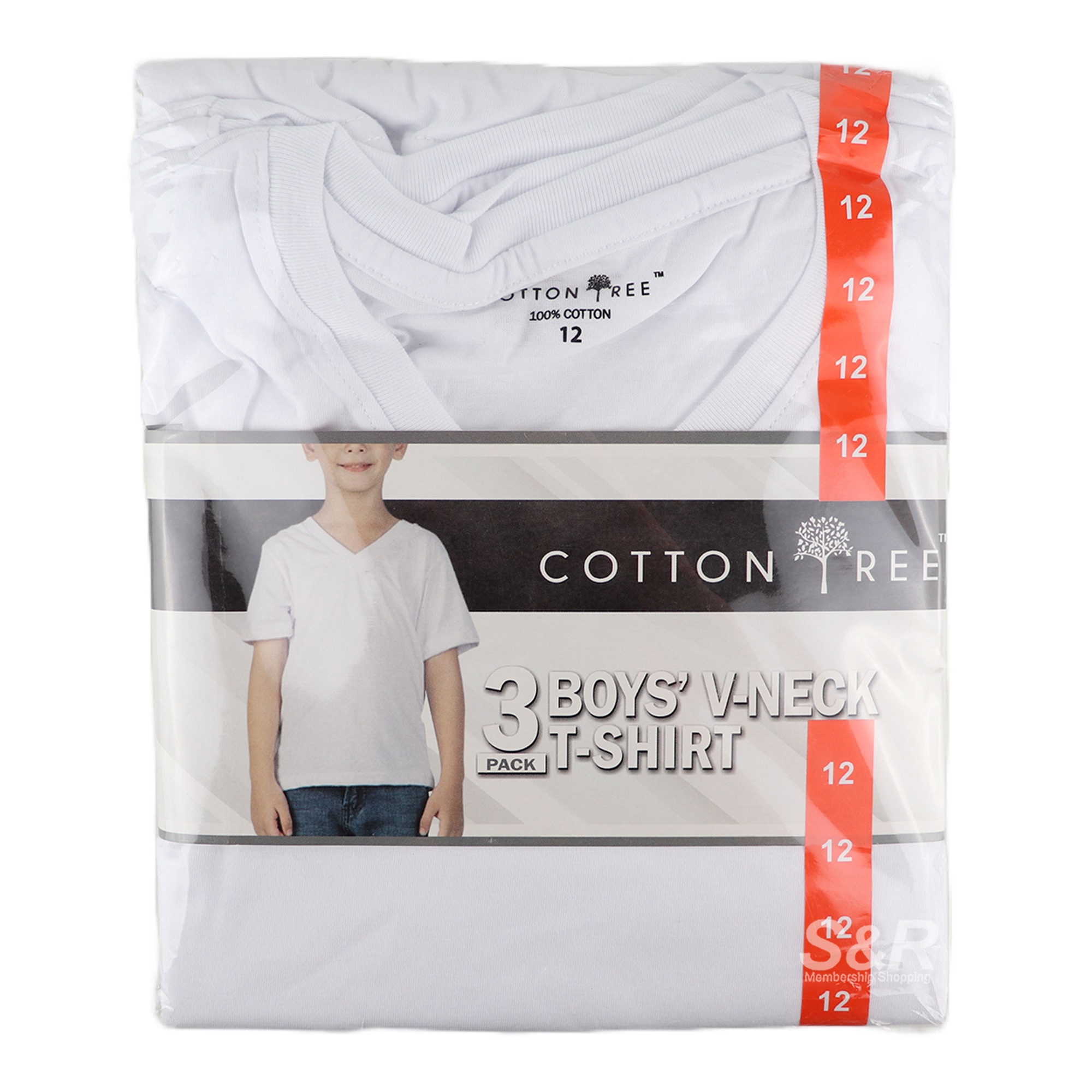 Cotton Tree Boys' V-Neck T-Shirt Size 12 3pcs